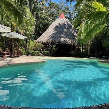 Hotel El Pequeno Gecko Verde Samara Bagian luar foto