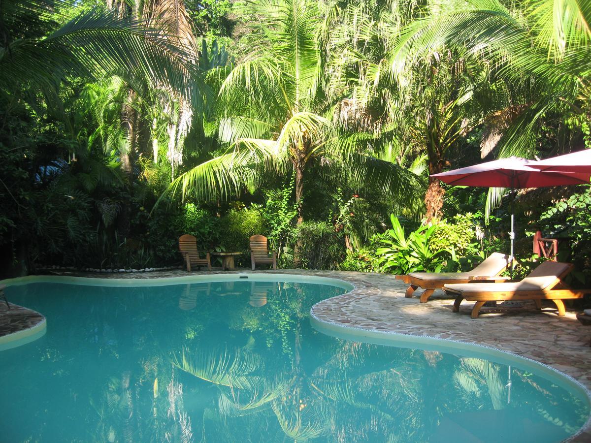 Hotel El Pequeno Gecko Verde Samara Bagian luar foto