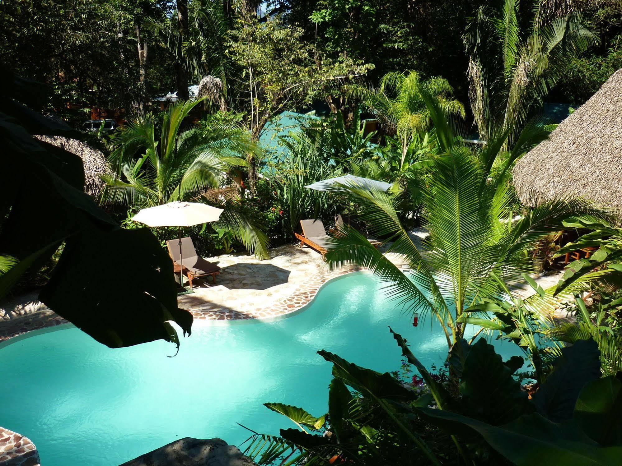Hotel El Pequeno Gecko Verde Samara Bagian luar foto