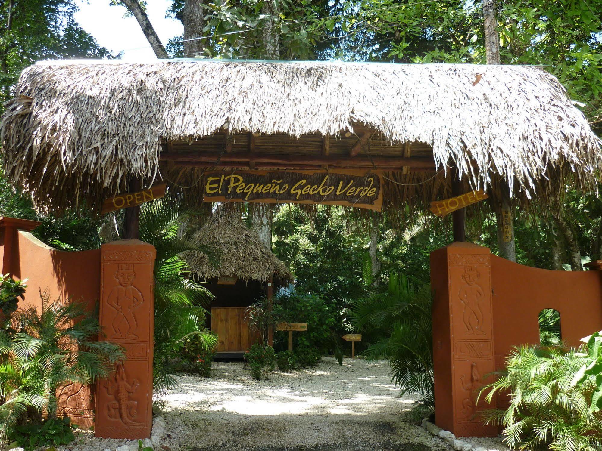 Hotel El Pequeno Gecko Verde Samara Bagian luar foto
