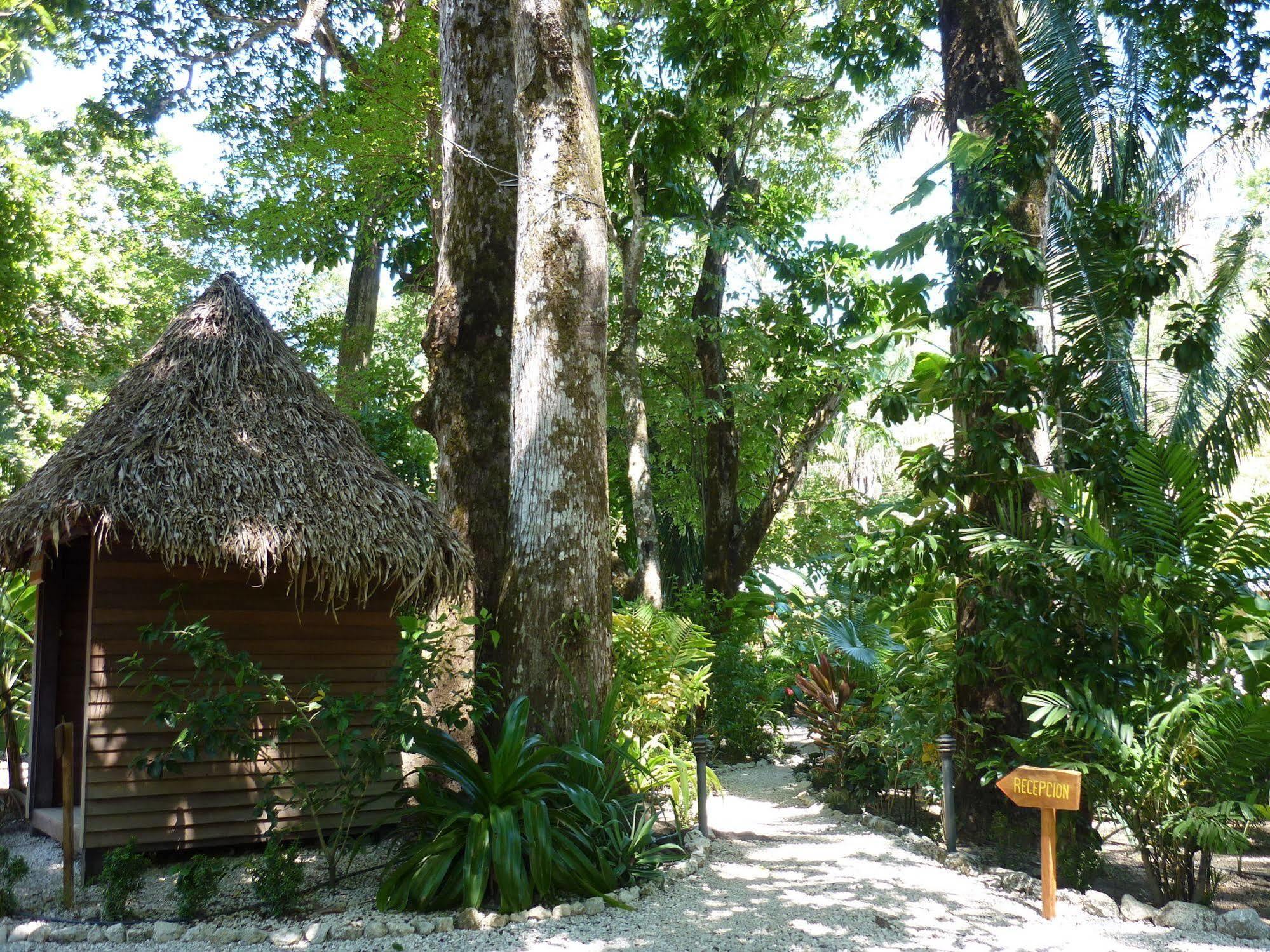 Hotel El Pequeno Gecko Verde Samara Bagian luar foto