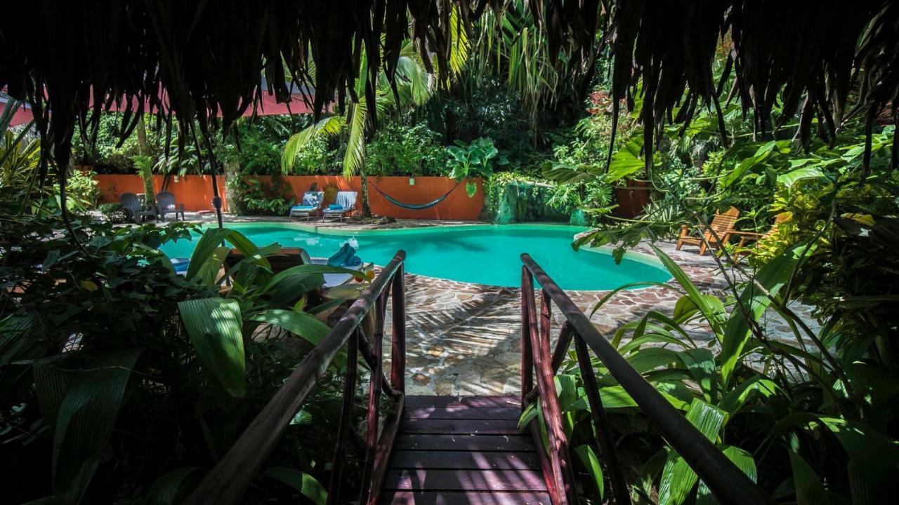 Hotel El Pequeno Gecko Verde Samara Bagian luar foto